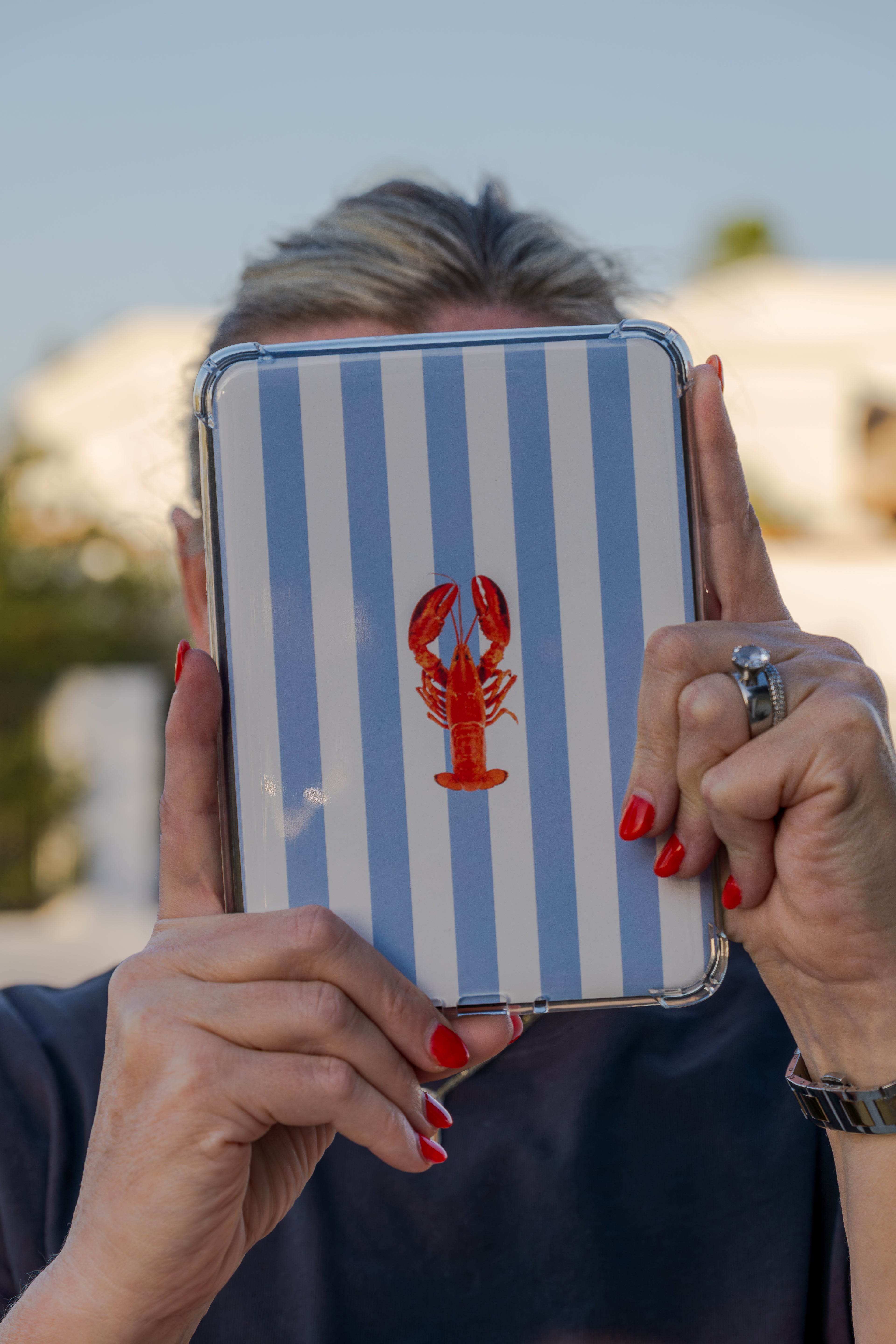 A lil' bit of Lobster Kindle Insert