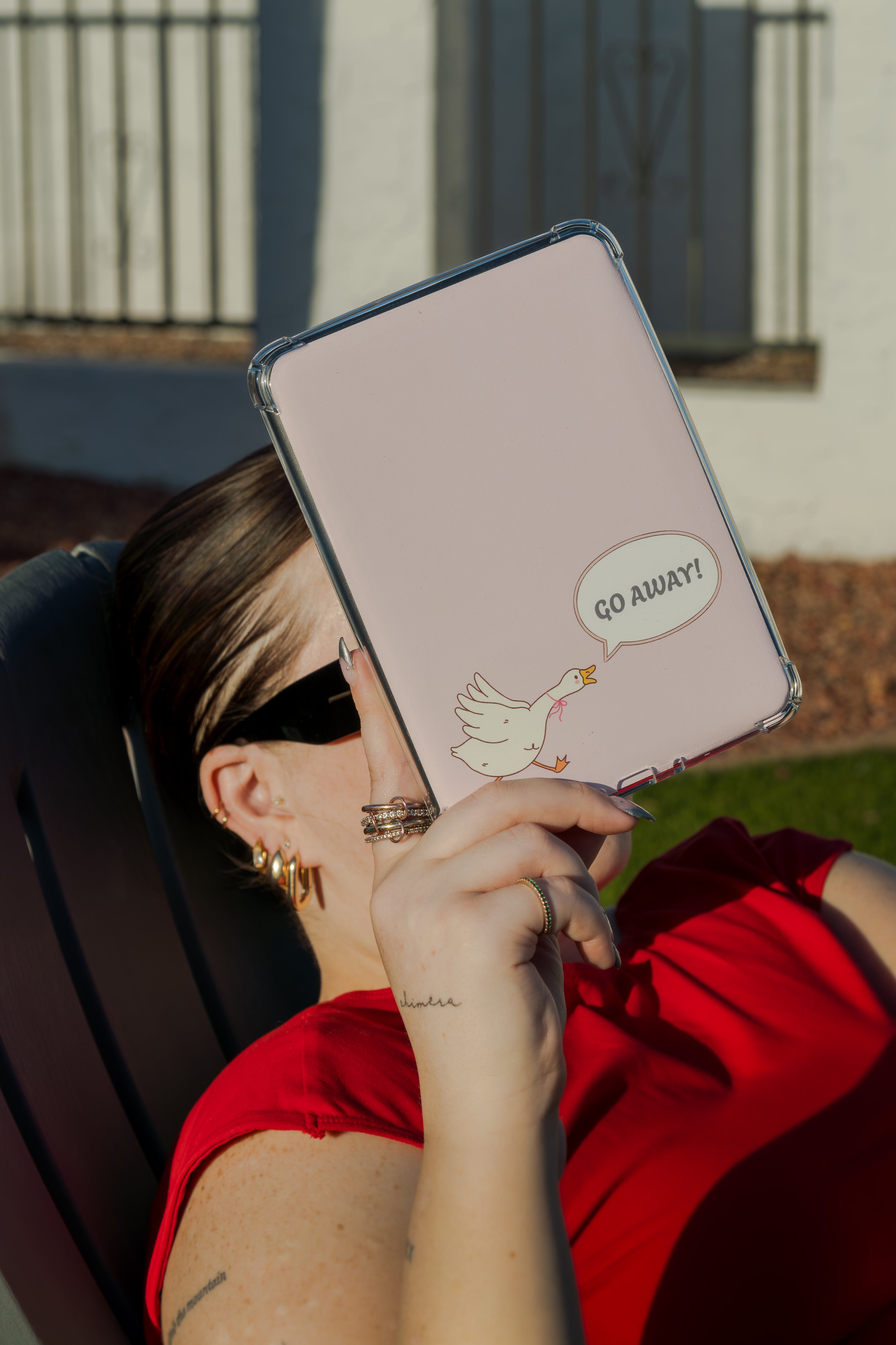 No Go Goose/Go Away Goose Kindle Insert