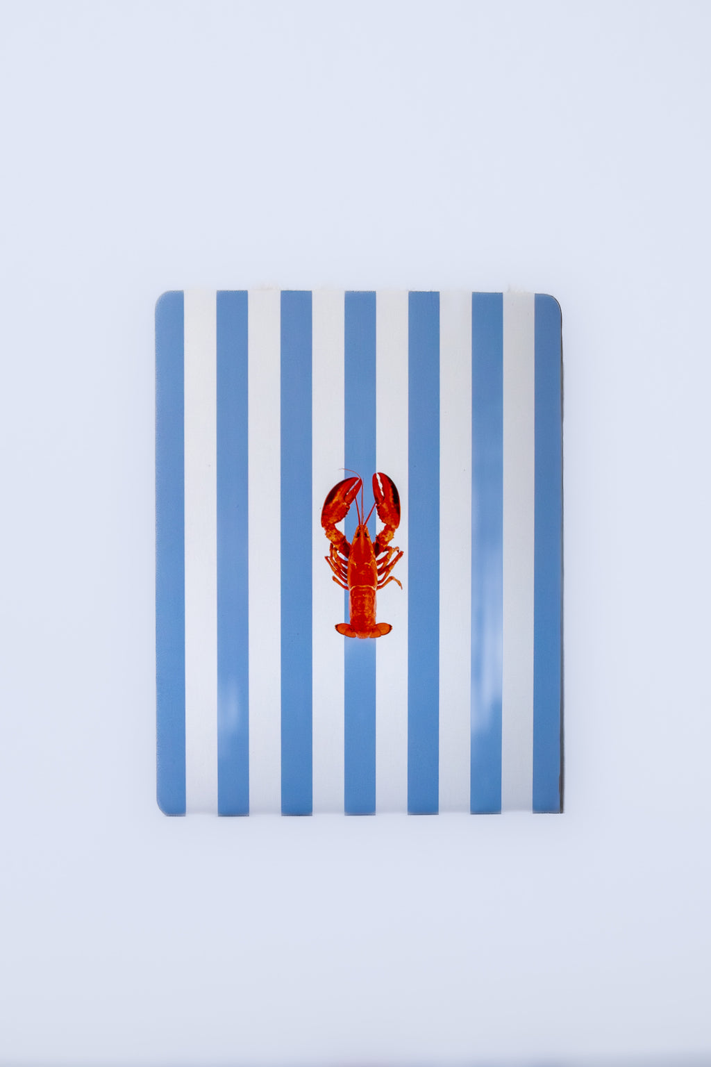 A lil' bit of Lobster Kindle Insert