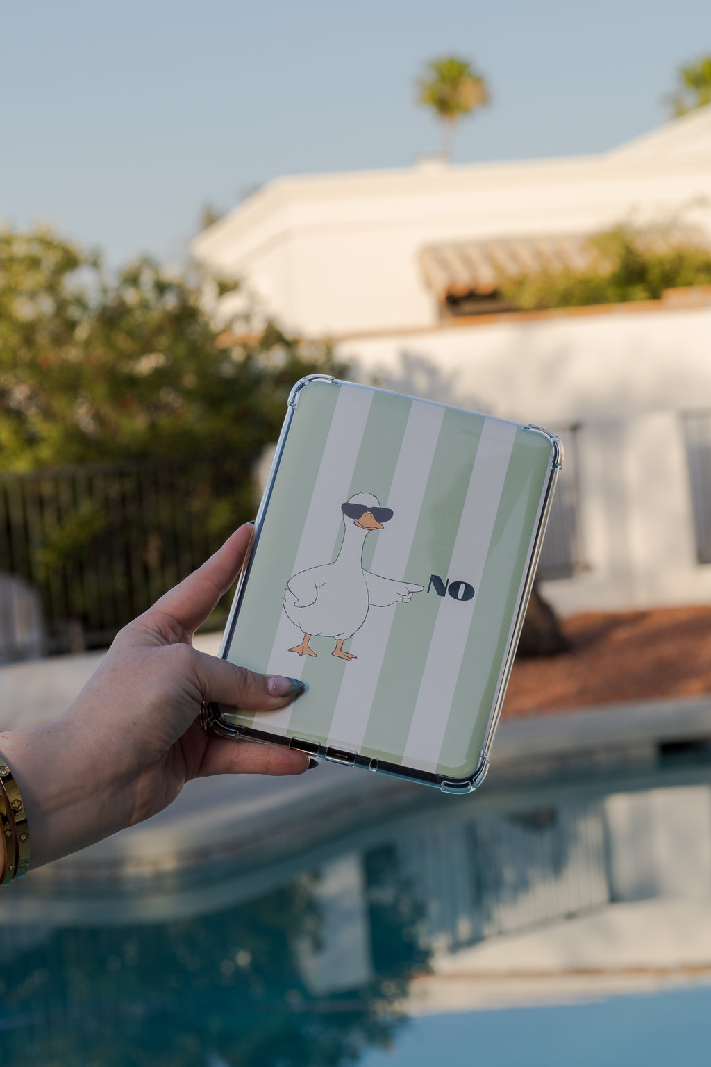 No Go Goose/Go Away Goose Kindle Insert
