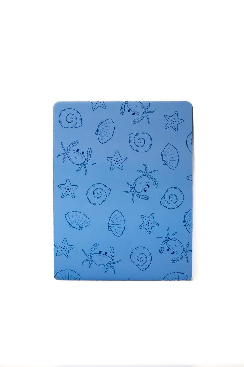 Blue Bear/Beachy Blue Kindle Case Insert