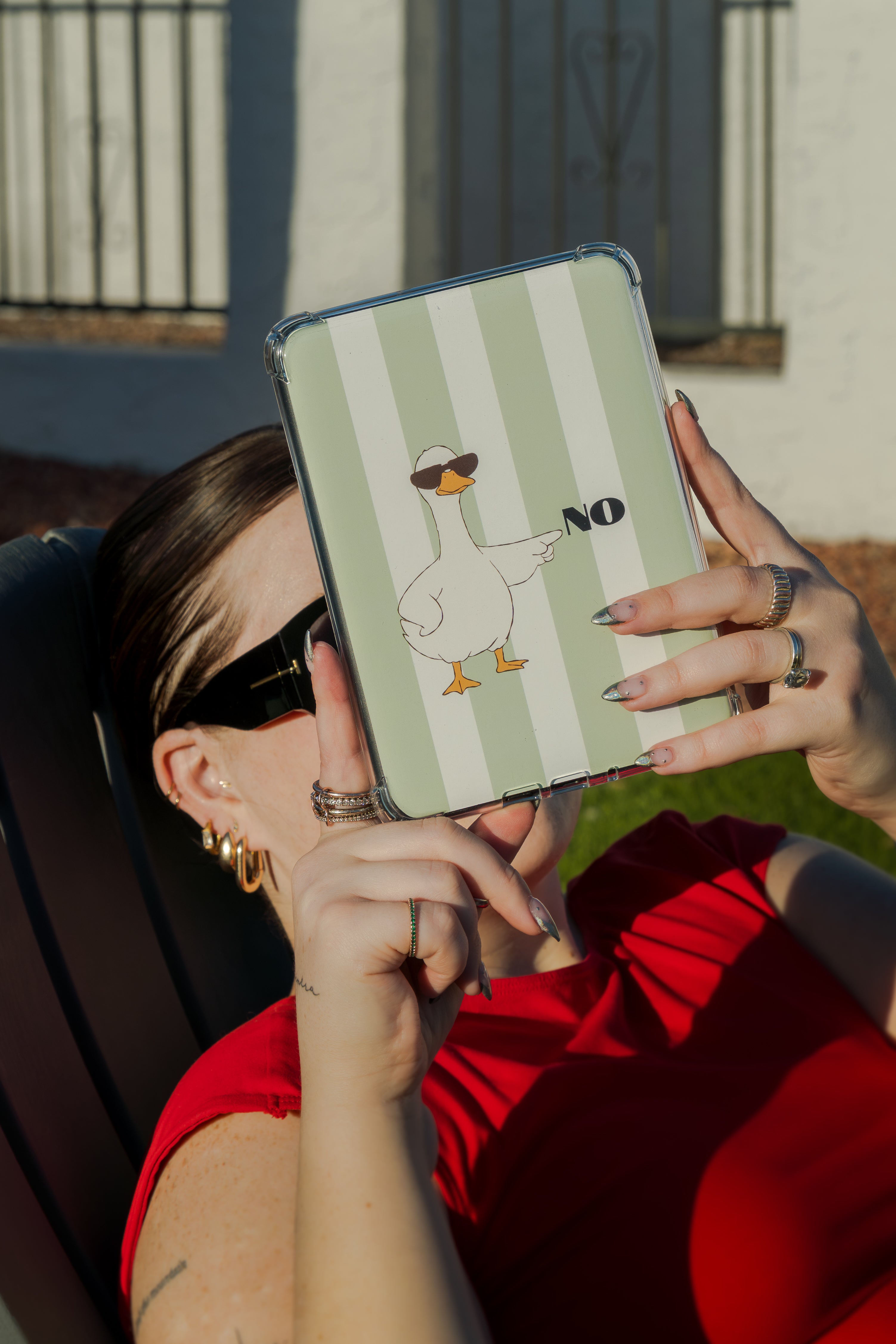 No Go Goose/Go Away Goose Kindle Insert